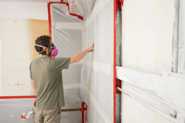 Reliable Northwest Harbor, NY Mold Removal Solutions