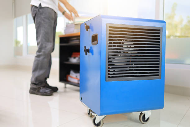 Best Mold Remediation for Healthcare Facilities  in Northwest Harbor, NY