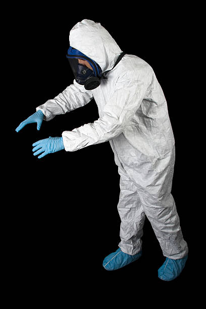Mold Odor Removal Services in Northwest Harbor, NY