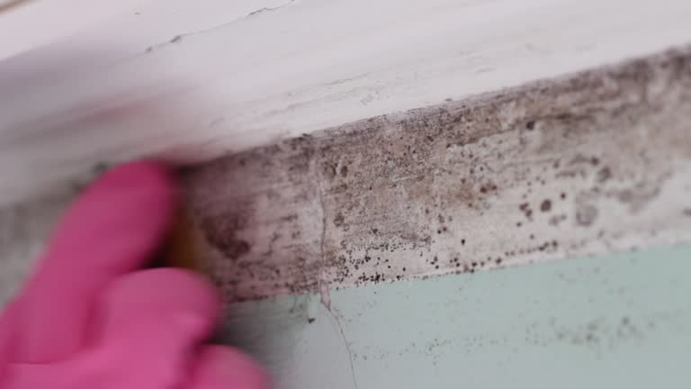 Best Post-Remediation Verification Testing  in Northwest Harbor, NY